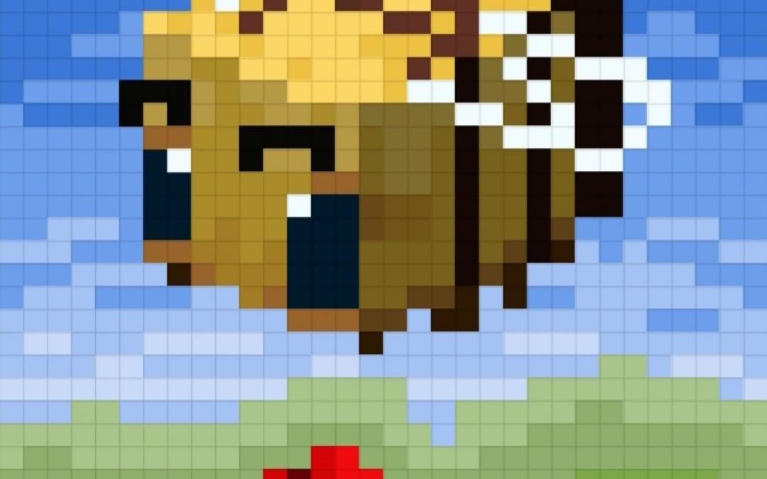 Collaboration Minecraft X Santa Cruz